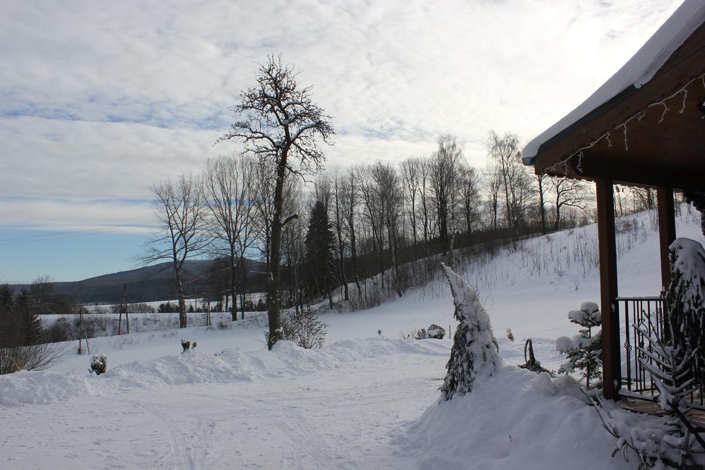 Apartamenty W Dolinie Goscina *